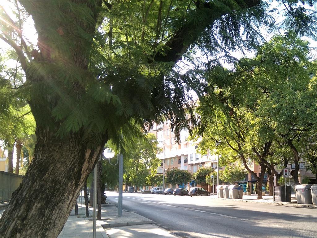 Apartamento Buhaira Sevilha Exterior foto
